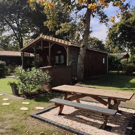 Chalet Prestige Au Coeur Du Bassin D'Arcachon Ла Тест-де-Бух Екстериор снимка